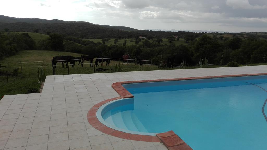Agriturismo Collelungo Di Maremma Diaccialone Buitenkant foto