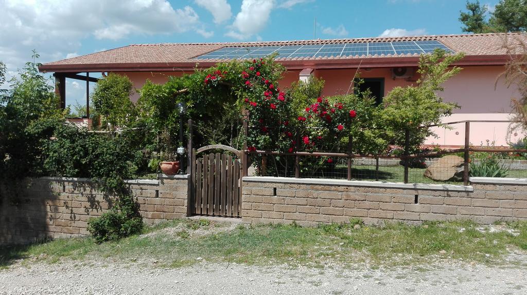 Agriturismo Collelungo Di Maremma Diaccialone Buitenkant foto