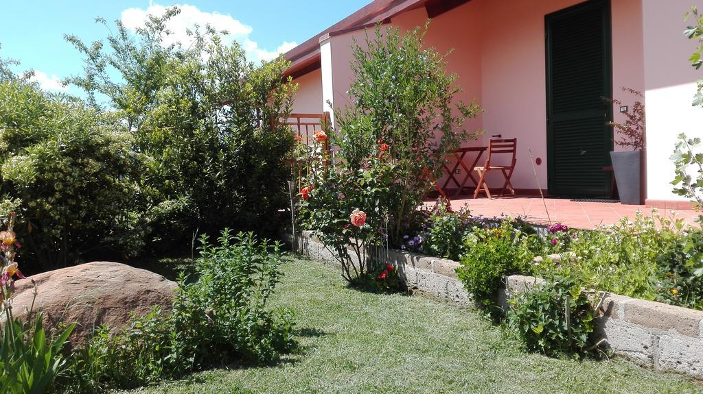 Agriturismo Collelungo Di Maremma Diaccialone Buitenkant foto