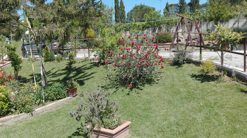 Agriturismo Collelungo Di Maremma Diaccialone Buitenkant foto