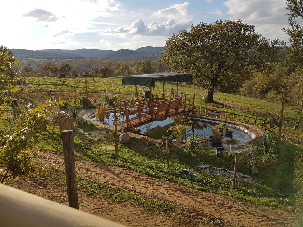 Agriturismo Collelungo Di Maremma Diaccialone Buitenkant foto