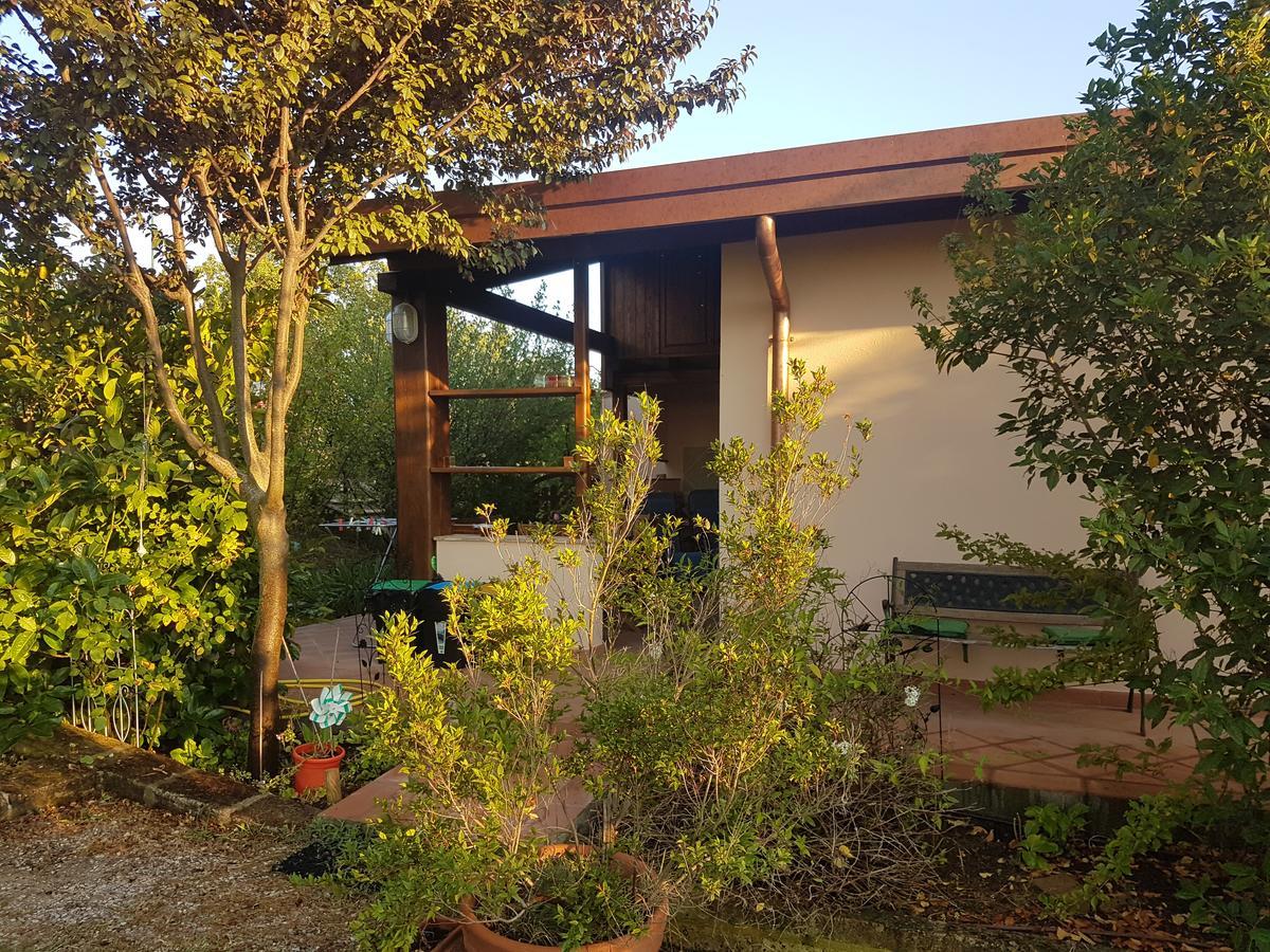 Agriturismo Collelungo Di Maremma Diaccialone Buitenkant foto