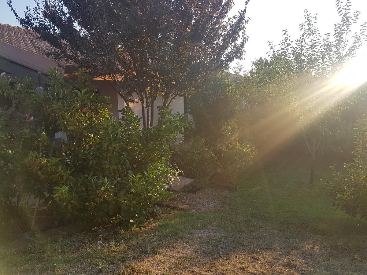 Agriturismo Collelungo Di Maremma Diaccialone Buitenkant foto